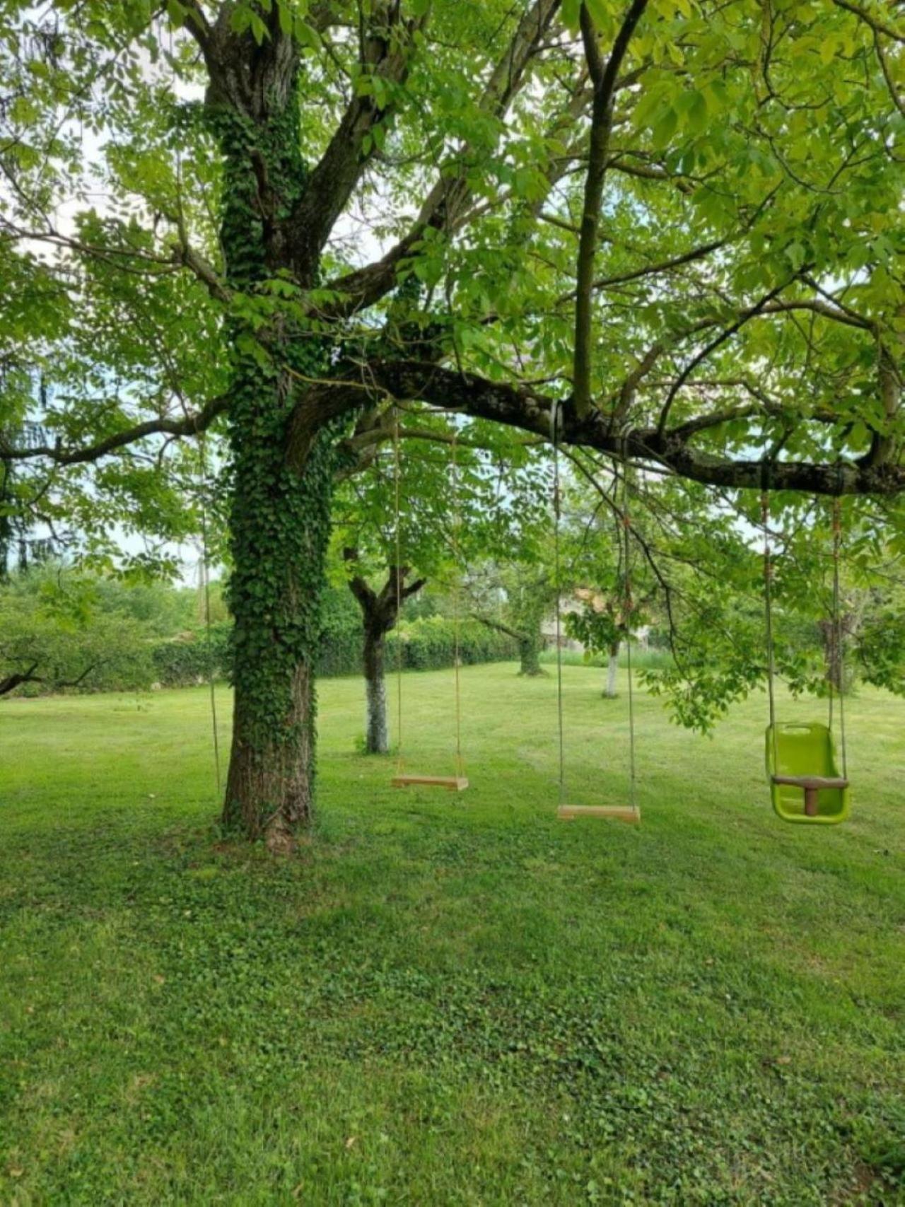 Crisoline Longwy-sur-le-Doubs